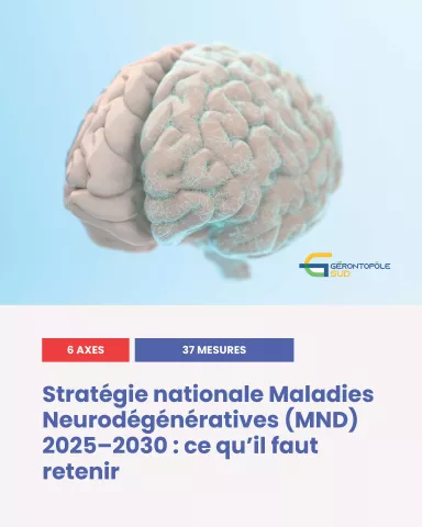 Illustration d’un cerveau pour l'article sur la stratégie nationale maladies neuro dégénérative 