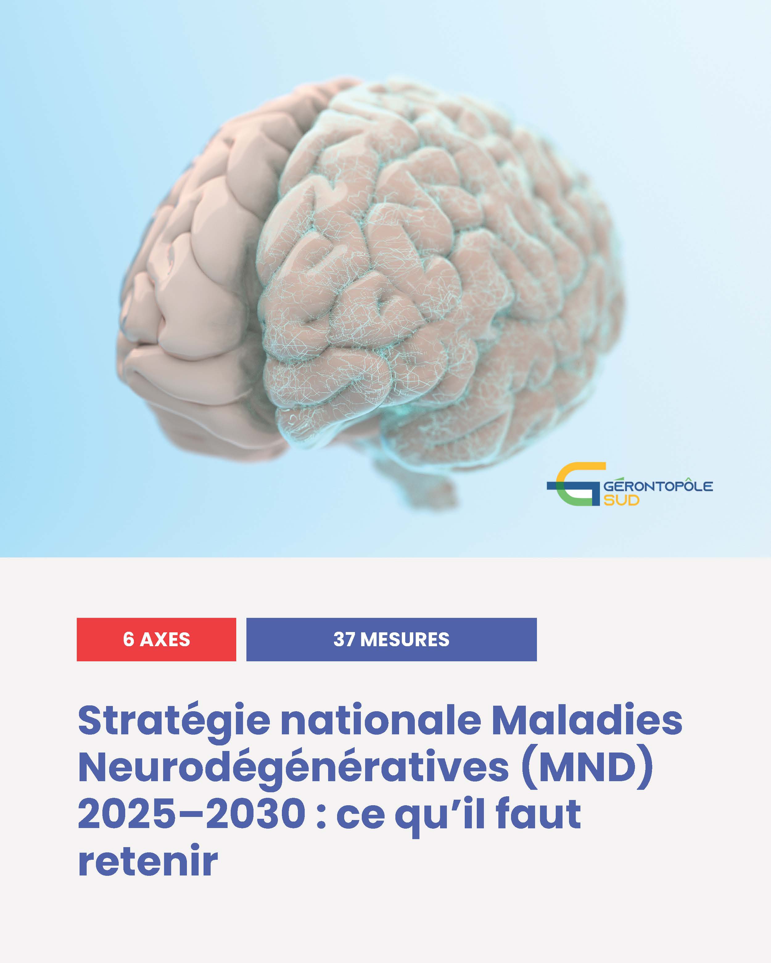 Illustration d’un cerveau pour l'article sur la stratégie nationale maladies neuro dégénérative 